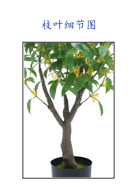 仿真植物盆栽桂花树装饰