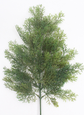 仿真植物单枝侧柏叶工程造景