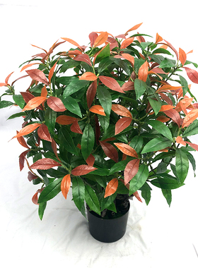 仿真植物盆栽红叶楠木
