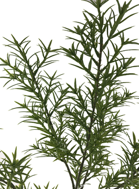 仿真植物田园风格迷迭香海洋之露