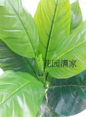 仿真植物假树叶落地盆栽高仿蝎尾蕉叶子摄影美人蕉叶工程装饰销售