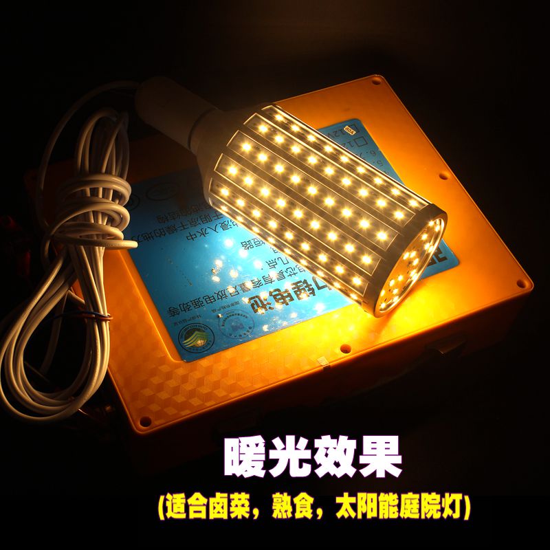 交直流12V低压LED玉米灯太阳能ACDC24V36V48V60V夜市摆摊电瓶灯泡 - 图1