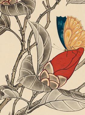 于非闇 红白茶花轴 卷轴挂画仿古画复制品花鸟画名人字画玄关装饰