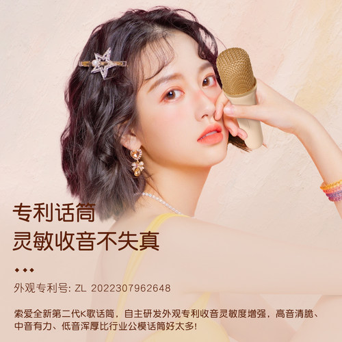 索爱SK2蓝牙音箱家用k歌音响儿童话筒麦克风户外唱歌小型家庭ktv - 图2
