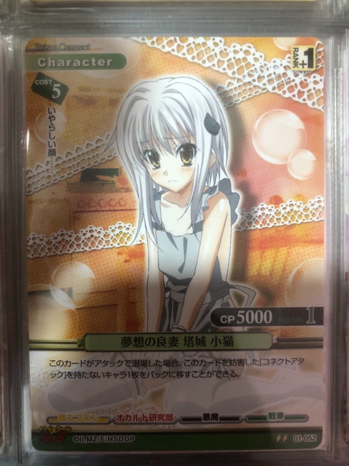 塔城小猫 新人首单立减十元 21年8月 淘宝海外