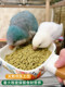 American Tops Parrot Natural Shellless Food Nourishing Pills