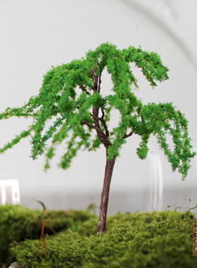 微景观装饰桃花树 景观树 多肉植物花瓶装饰 苔藓瓶布景园艺装饰