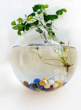 悬挂式玻璃简欧风墙壁小鱼缸花瓶
