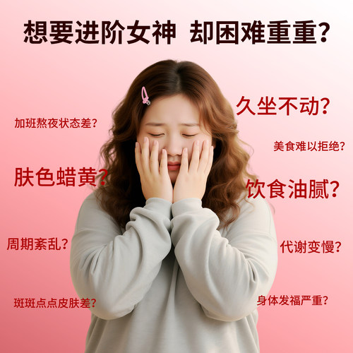 固本堂苹果黄芪水山楂茶养生茶包玫瑰红枣果茶独立小包花茶女生 - 图0
