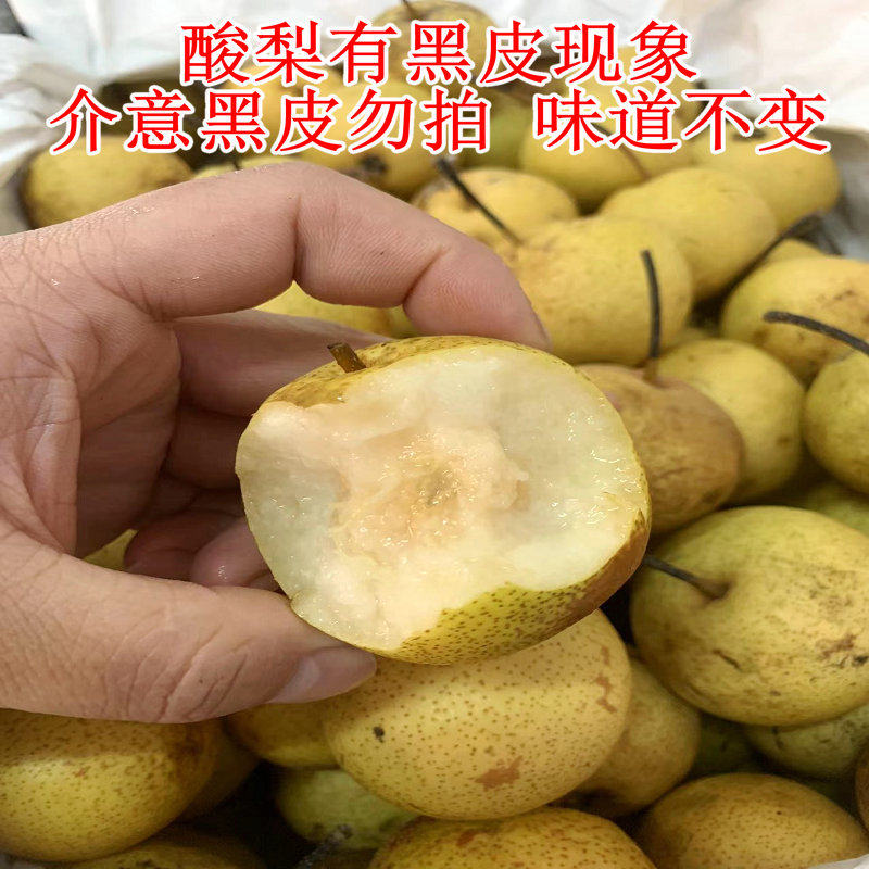 酸梨安梨东北特产正宗辽宁绥中酸梨河北大酸梨开胃酸甜5斤装包邮_虎窝淘