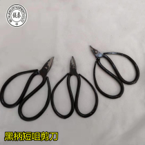 Jewelry Processing Small Scissors Quality Steel High Hardness Scissors Black Handle Short Head Tips Small Cut Industrial Black Scissors