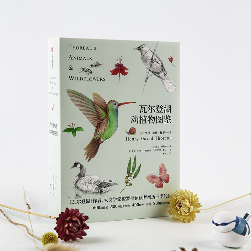 瓦尔登湖动植物图鉴 亨利戴维梭罗 著 瓦尔登湖梭罗日记作者 观察动