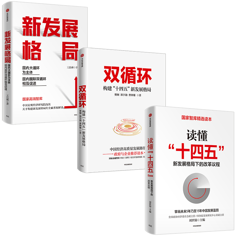 读懂十四五+双循环+新发展格局 套装3册 刘世锦 樊纲 王昌林 著 大循环 经济理论  中信 - 图0