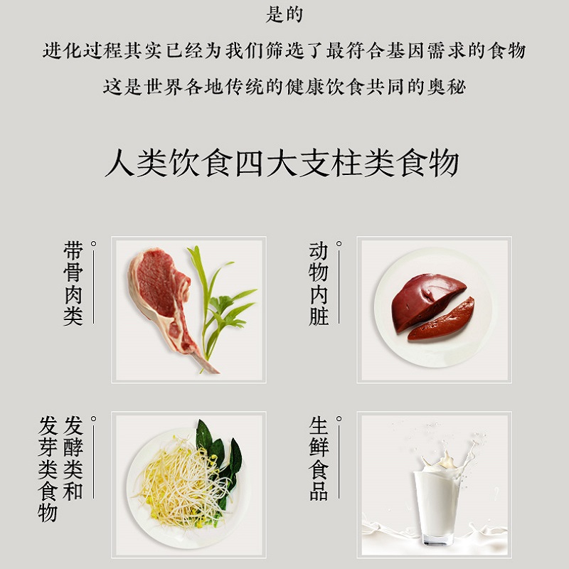 包邮 深度营养 凯瑟琳沙纳汉 等著  对的饮食经得起进化考验 用传统智慧完善饮食结构 满足基因需求 中信出版社图书 正版书籍 - 图1