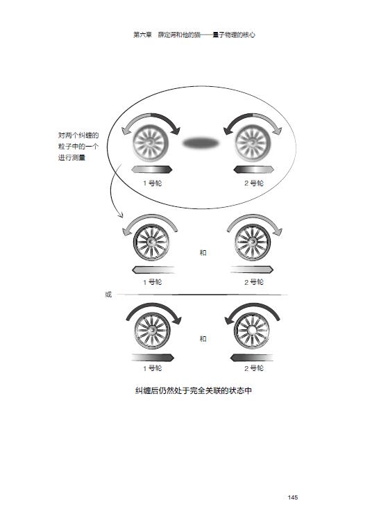 沙滩上的薛定谔带着量子物理学去度假夏尔安东尼著量子物理薛定谔方程量子跃迁量子纠缠薛定谔的猫量子生物学中信正版-图3