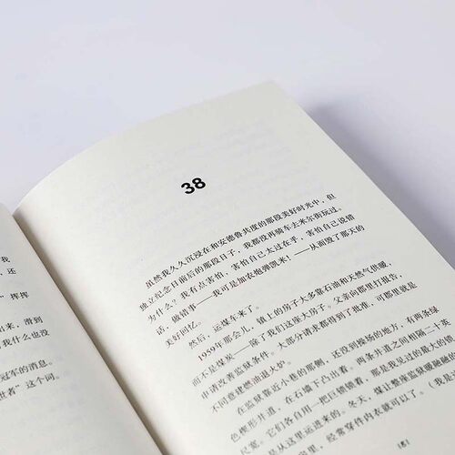 【8-15岁】 监狱长的女儿我爱读大奖小说 第二辑 杰里史宾尼利 著 儿童文学 表达力 提升阅读写作能力 治愈亲情成长宽容 中信 - 图3