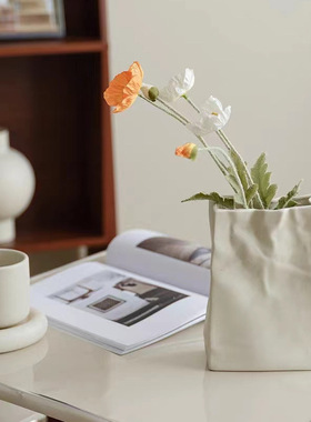 北欧陶瓷花瓶客厅玄关电视柜家居品摆件干花插花瓶装饰ins风家居