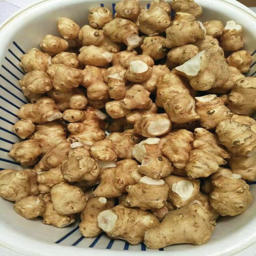 贵州特产贵阳农家老坛糟辣椒泡洋姜泡生姜带甜味酸辣脆甜下饭菜 - 图1
