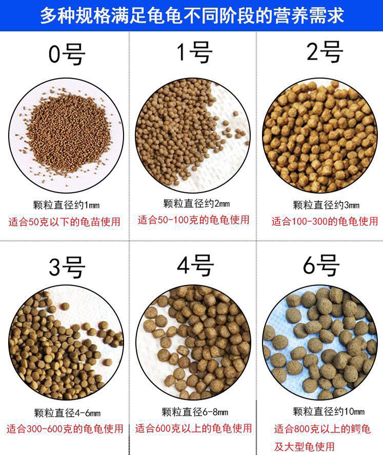 40斤装嘉盛龟类配合饲料浮水颗粒龟粮石金钱火焰巴西龟草龟鳄龟料-图2