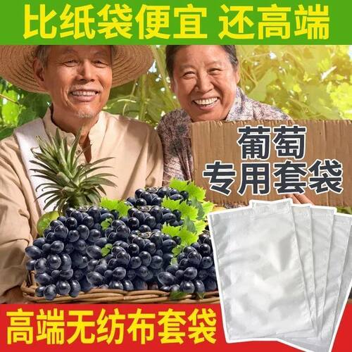 水果套袋防鸟通用袋瓜果防虫专用袋无花果枇杷葡萄桃子草莓育苗袋 - 图0