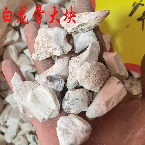 中药材矿石龙骨 生龙骨 白龙骨粉 土龙骨500g包邮另有牡蛎 煅龙骨 - 图2