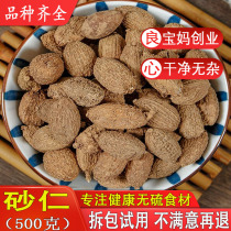 Special Class Sand Benevolent 500 gr Wild Yang Spring Sand Benevolent Stomach Bulk New Cargo Non-Homoren Hall