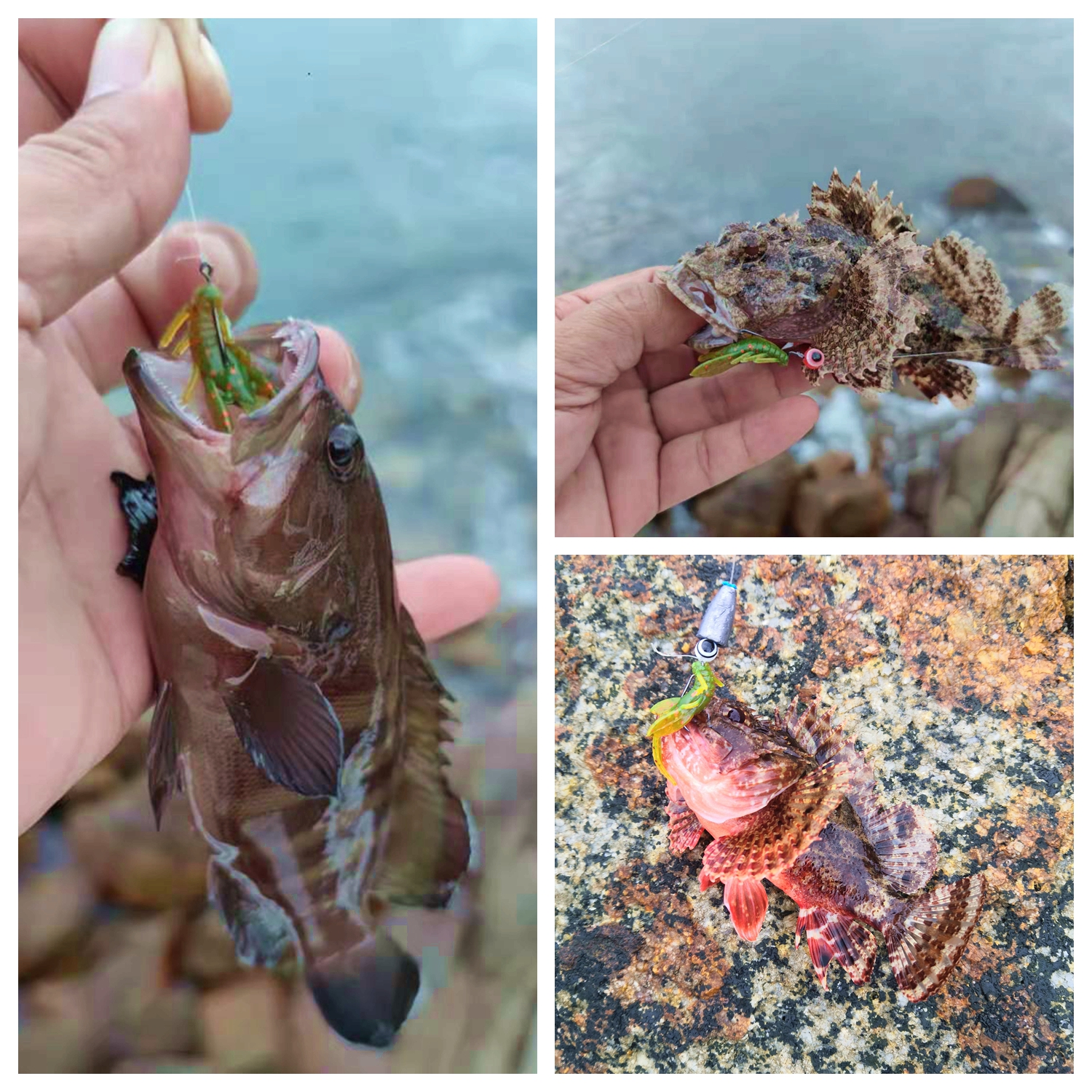 路未远 根钓虾倒钓软饵小虾路亚饵鳜鲈鱼太阳鱼饵铅头钩微物软饵 - 图1