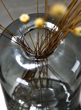 创意ins彩色玻璃花瓶 特色透明水培鲜花瓶花插桌面摆件家装饰花器