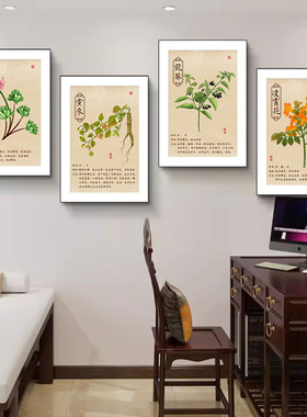中药房装饰画中药材功效作用海报定制党参当归灵芝挂图中医宣传画