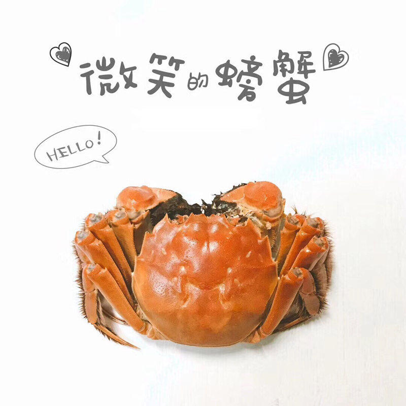 活蟹现货特大大闸蟹8只10只特大鲜活全母蟹螃蟹礼盒苏州官方旗舰,淘宝优惠券,粉丝福利购,淘宝优惠卷
