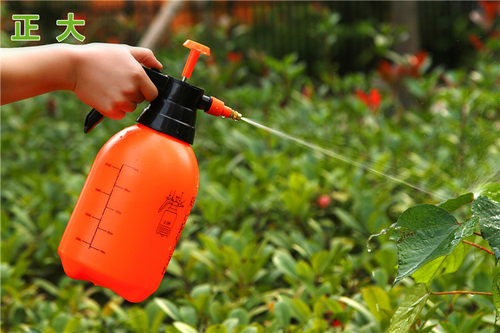 气压式喷雾器喷水壶 浇水壶洒水壶浇花洗车喷壶消毒2L 3L加厚 - 图1