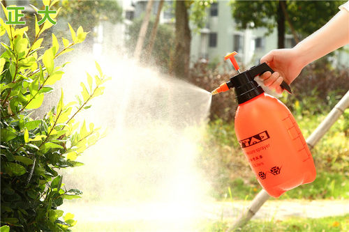气压式喷雾器喷水壶 浇水壶洒水壶浇花洗车喷壶消毒2L 3L加厚 - 图3