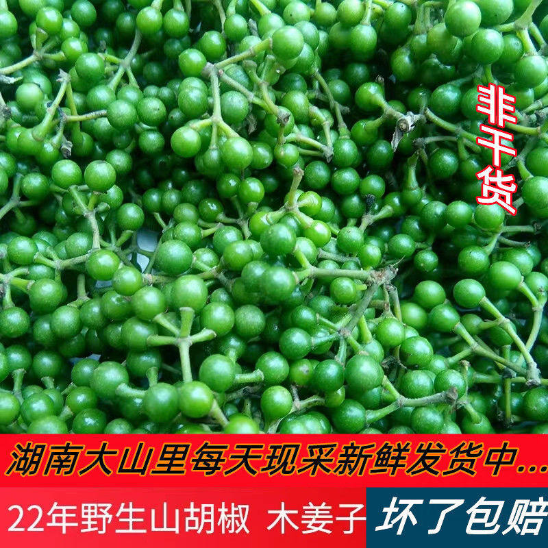 湖南新鲜现采山胡椒木姜子山苍子去腥提味配料农产品野生可食用