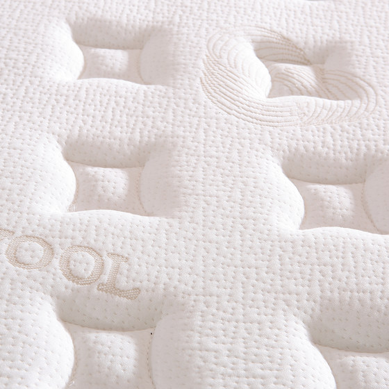 Silent stainless steel spring coconut palm soft and hard thick mattress