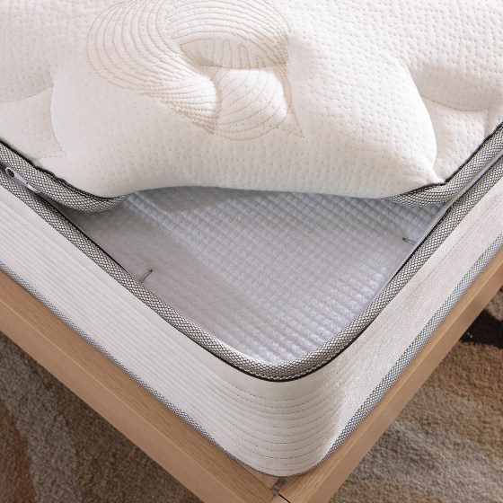 Silent stainless steel spring coconut palm soft and hard thick mattress