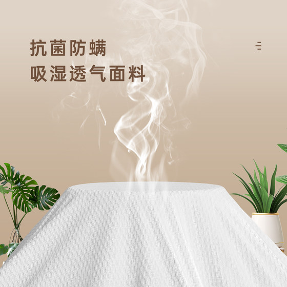 Hardened artifact natural coconut palm mattress spine protector home thin