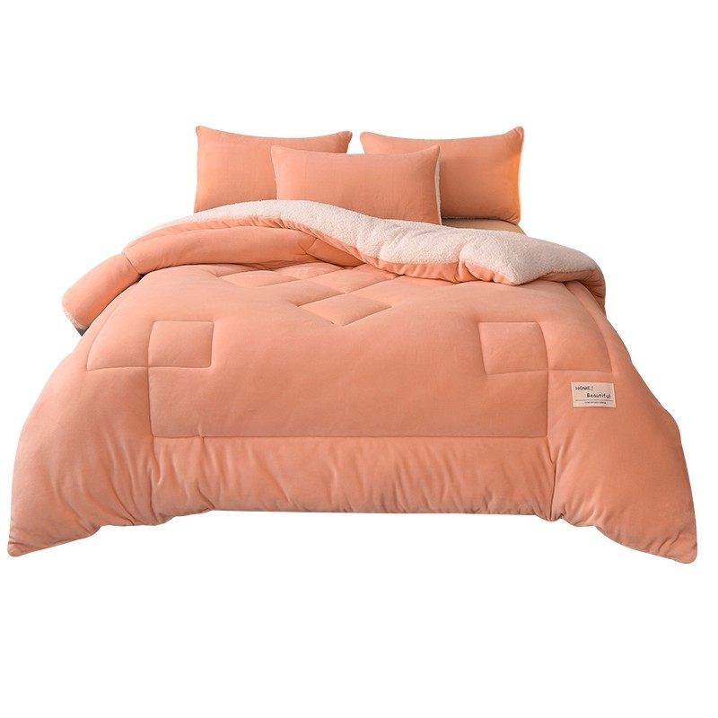 羊羔绒被子2025新款冬季棉被被芯冬天单人宿舍秋冬被加厚保暖10斤,淘宝优惠券,粉丝福利购,淘宝优惠卷