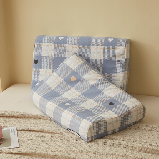 2025新款纯棉乳胶枕套一对装100全棉40x60单个儿童小枕头套30x50