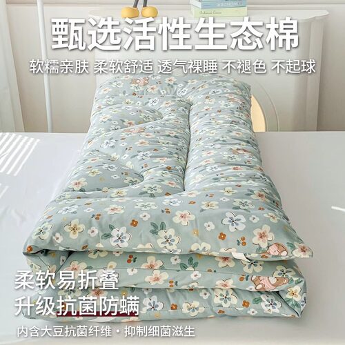 床垫家用卧室软垫床褥垫加厚褥子垫被铺底宿舍单人租房专用垫子 - 图2