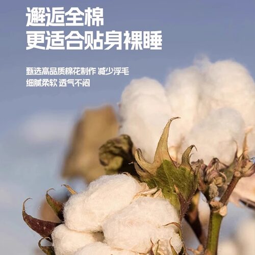 全棉床单单件100纯棉2026新款学生宿舍加厚单双人被单枕套三件套 - 图1