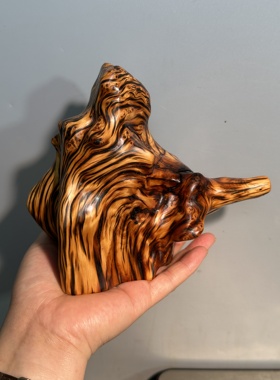 小精品骨料榴花 花果奶香浓郁 高崖高海拔骨料墩子太行精品柏