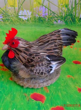 仿真动物摄影道具公鸡家居摆设