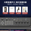 Portable karaoke speaker video player with display
