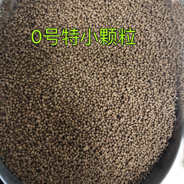 ປາຈືນອາຫານປາຄາບ, ຄາບເງິນ, carp ເງິນ, herring, ປາໃຫຍ່ສີ່, ປາ Wuchang, carp crucian, ອາຫານ carp ເປີດ, ທາດໂປຼຕີນສູງ