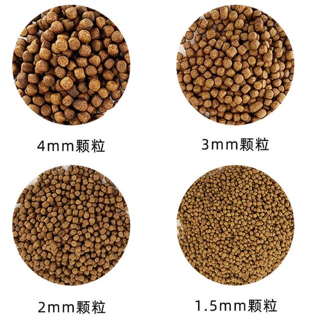 Carp ເງິນ, carp ຫຍ້າ, carp, crucian carp, ອາຫານປາປະສົມ, extruded floating material particles, floating compound feed, sinking material