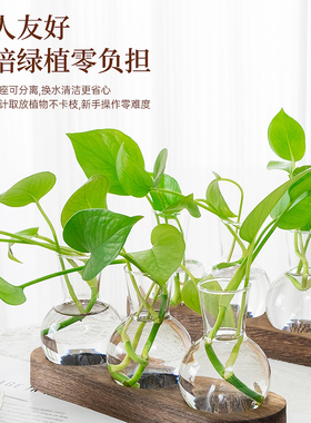 原木玻璃花瓶简约风水培绿植花器办公桌好物家居桌面精致装饰摆件