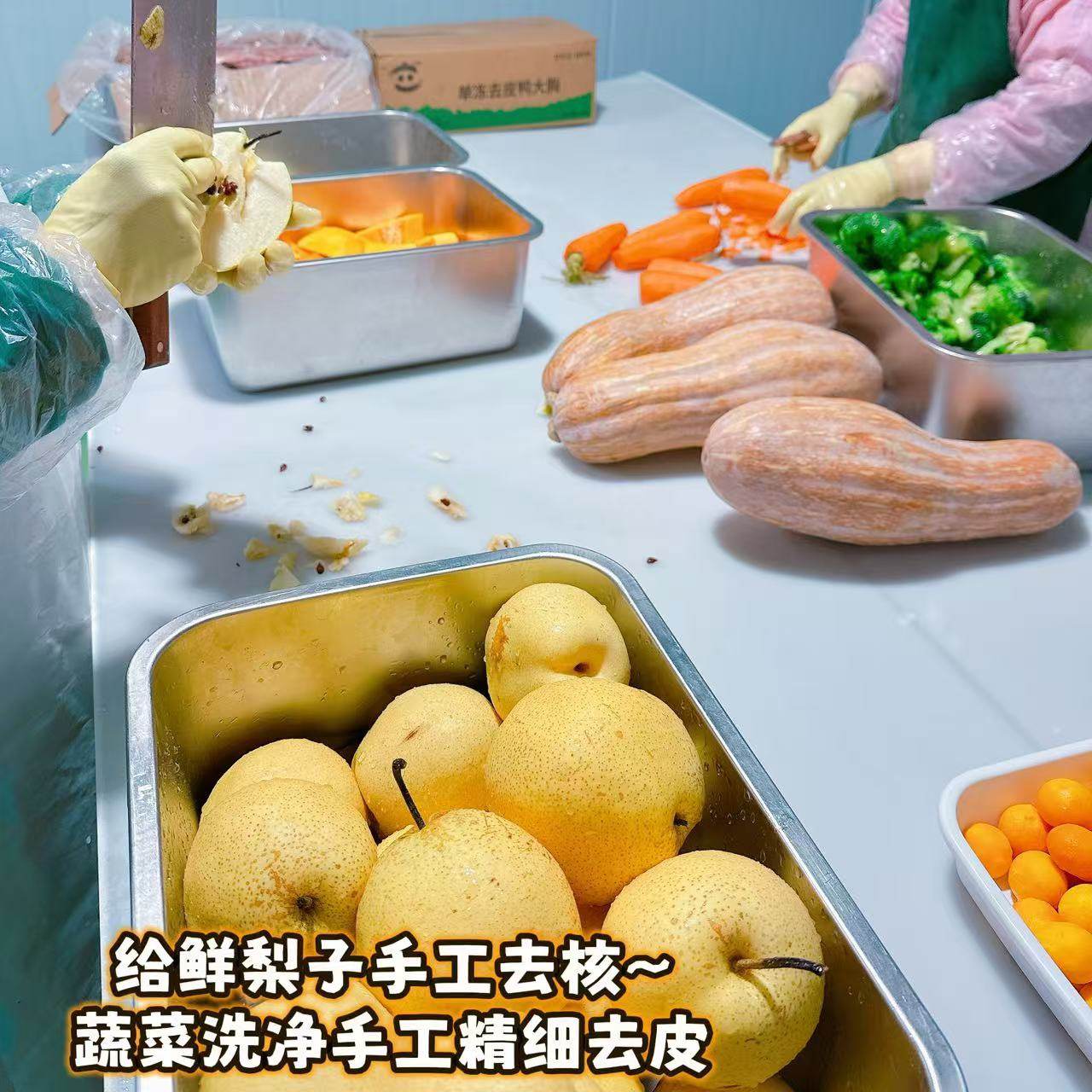 爪爪鲜厨狗饭狗狗主食餐盒营养狗粮湿粮拌粮零食狗罐头鸭肉梨牛肉,淘宝优惠券,粉丝福利购,淘宝优惠卷