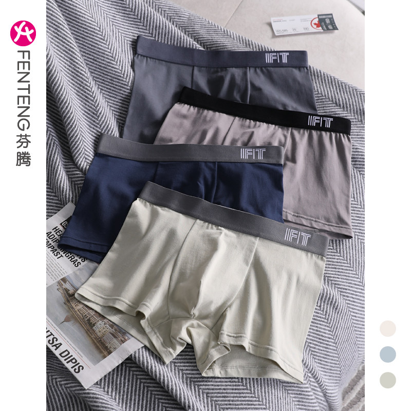  芬腾广东男平角内裤