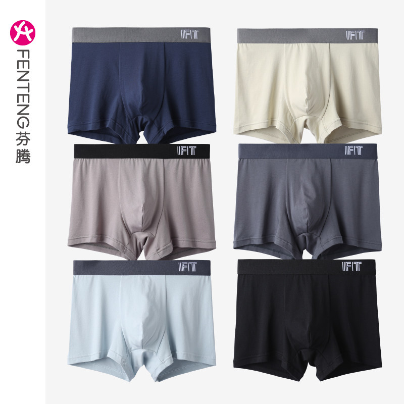  芬腾广东男平角内裤