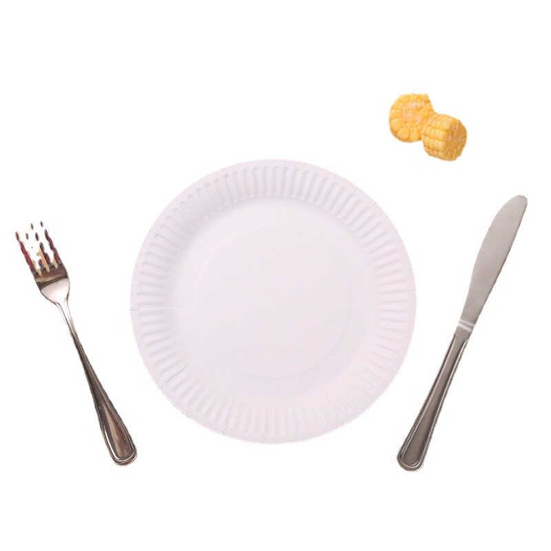 一次性纸盘子绘画幼儿园手工生日蛋糕叉烧烤装食品圆形白加厚盘